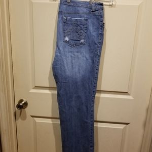 Venezia, Lane Bryant, Jean's size 20, plus size